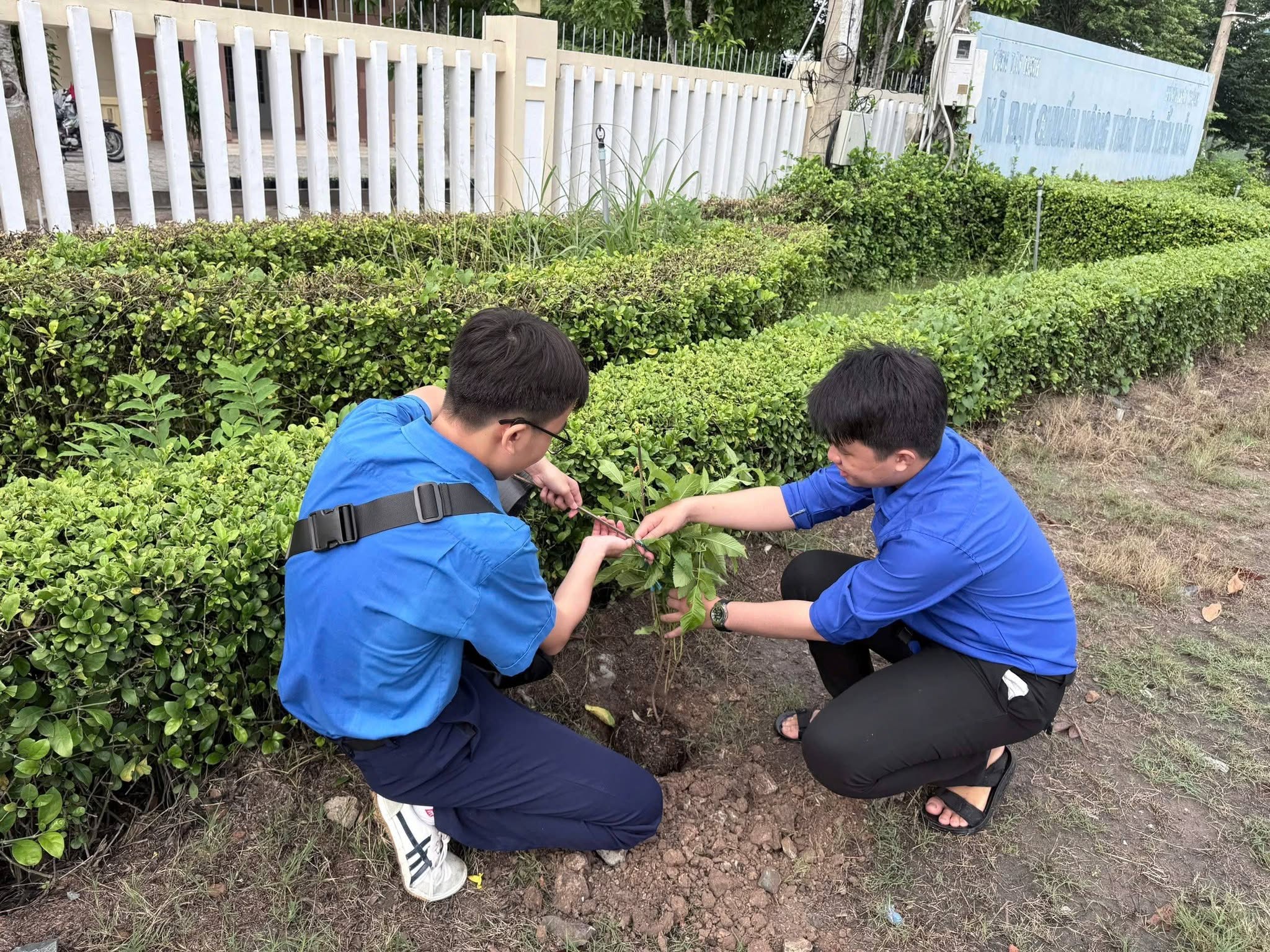 🌿 NGÀY CHỦ NHẬT XANH – HƯỞNG ỨNG PHONG TRÀO “TÔI YÊU TỔ QUỐC TÔI”