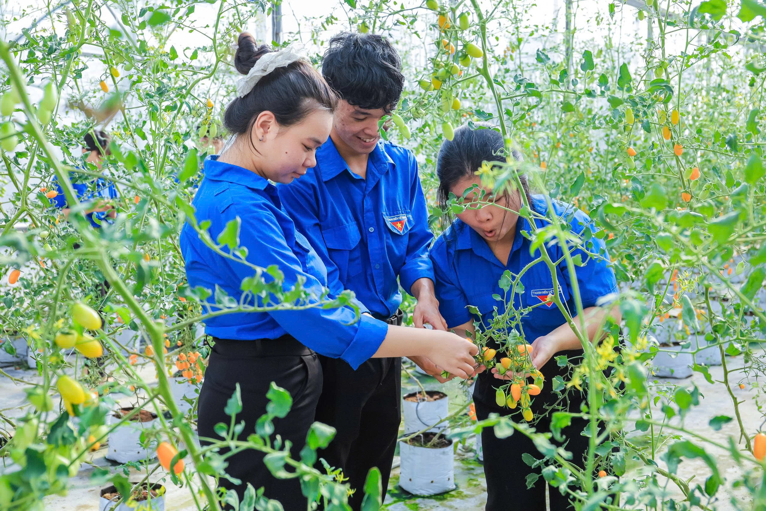 Hành trình trải nghiệm STEM – Khơi nguồn sáng tạo năm 2026
