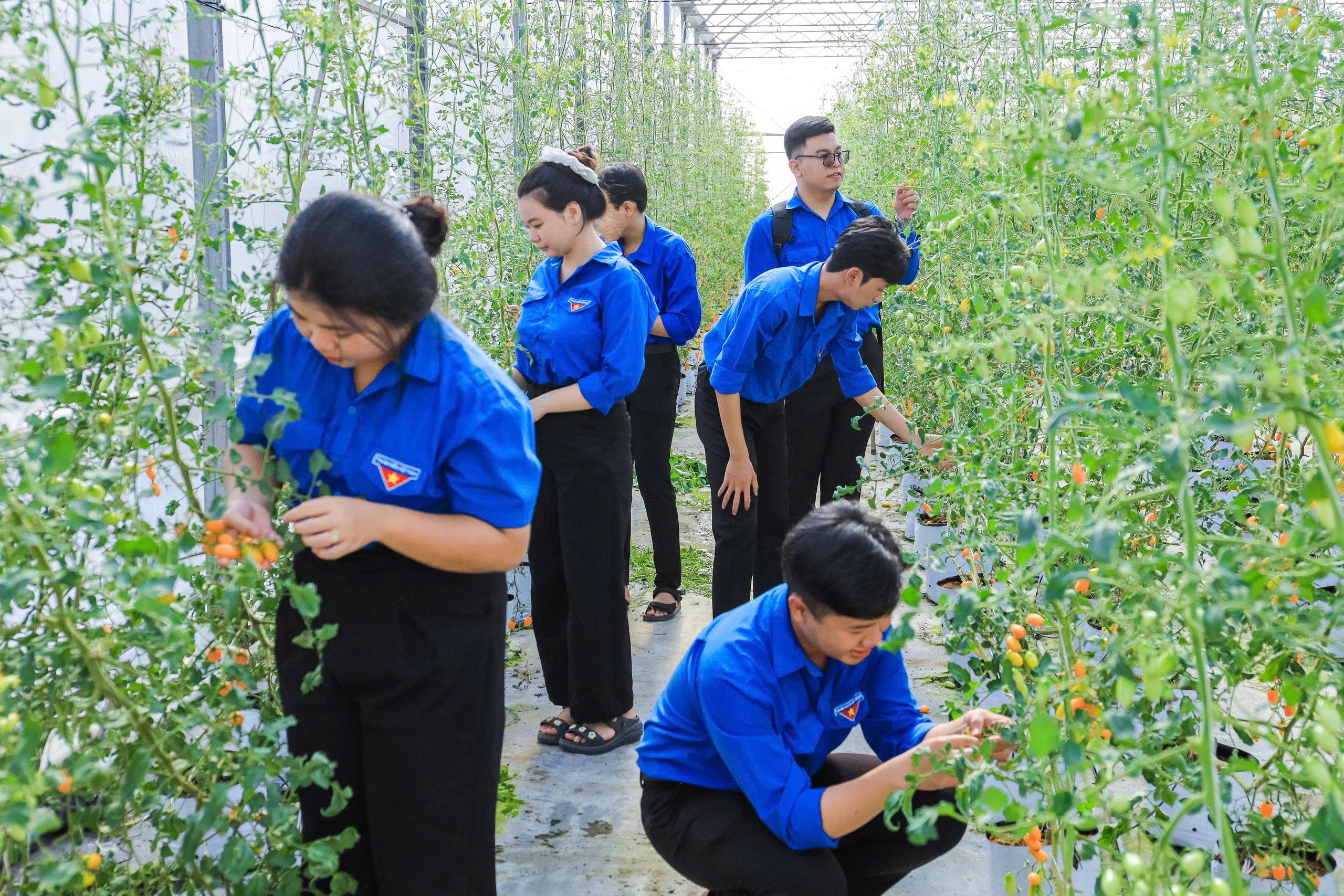 Hành trình trải nghiệm STEM – Khơi nguồn sáng tạo năm 2026