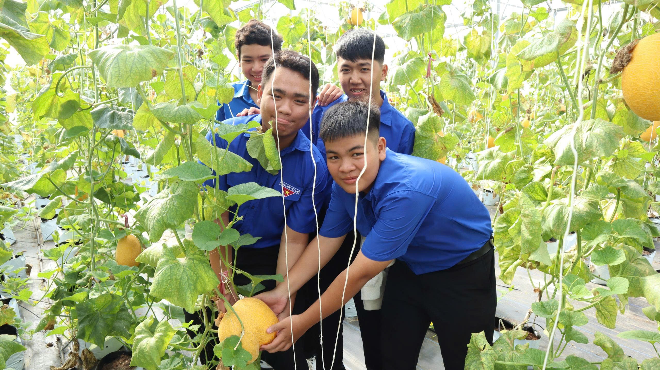 Hành trình trải nghiệm STEM – Khơi nguồn sáng tạo năm 2026